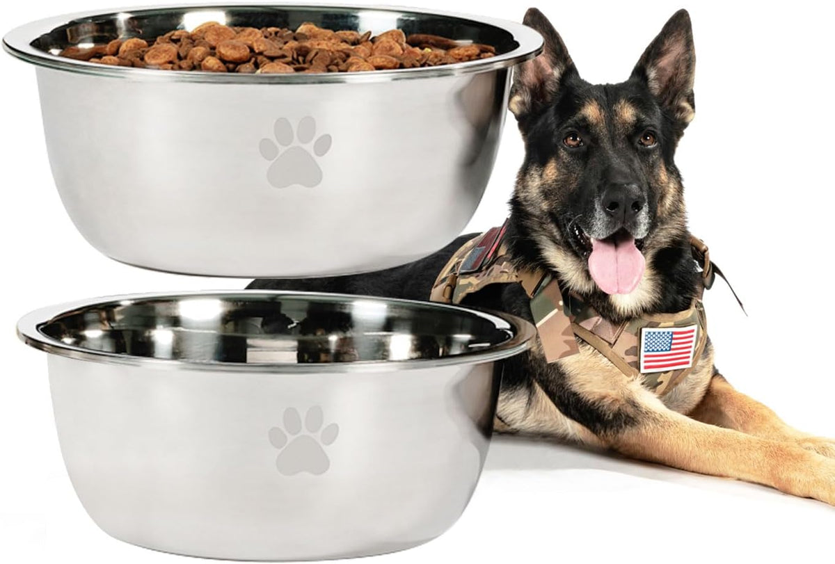 Large Dog Water Bowl 2 Pack, Aqua - Silver - 2 Pack / 0.75 Gallon - M (25- 50lb breed)