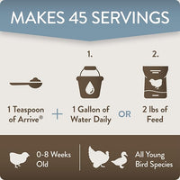 Arrive, Daily Probiotic & Prebiotic Poultry Supplement for Young Chickens 0-8 Weeks Old, 8 oz