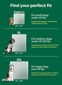 Regular Dog & Puppy Pee Pads, Max Absorbency - Discreet Top / Regular [L] 22"x23" 40ct - image 2