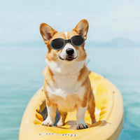 Clear Dog Goggles for Small Dogs - Clear & Black / Medium - image 3