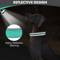 Joytale Reflective Dog Collar for Large Dogs with Wide Padding - Teal / L - image 2