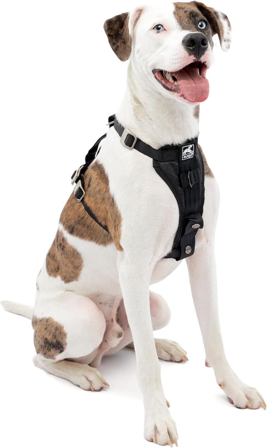 Kurgo Enhanced Strength Tru-Fit Smart Harness - Black / Medium
