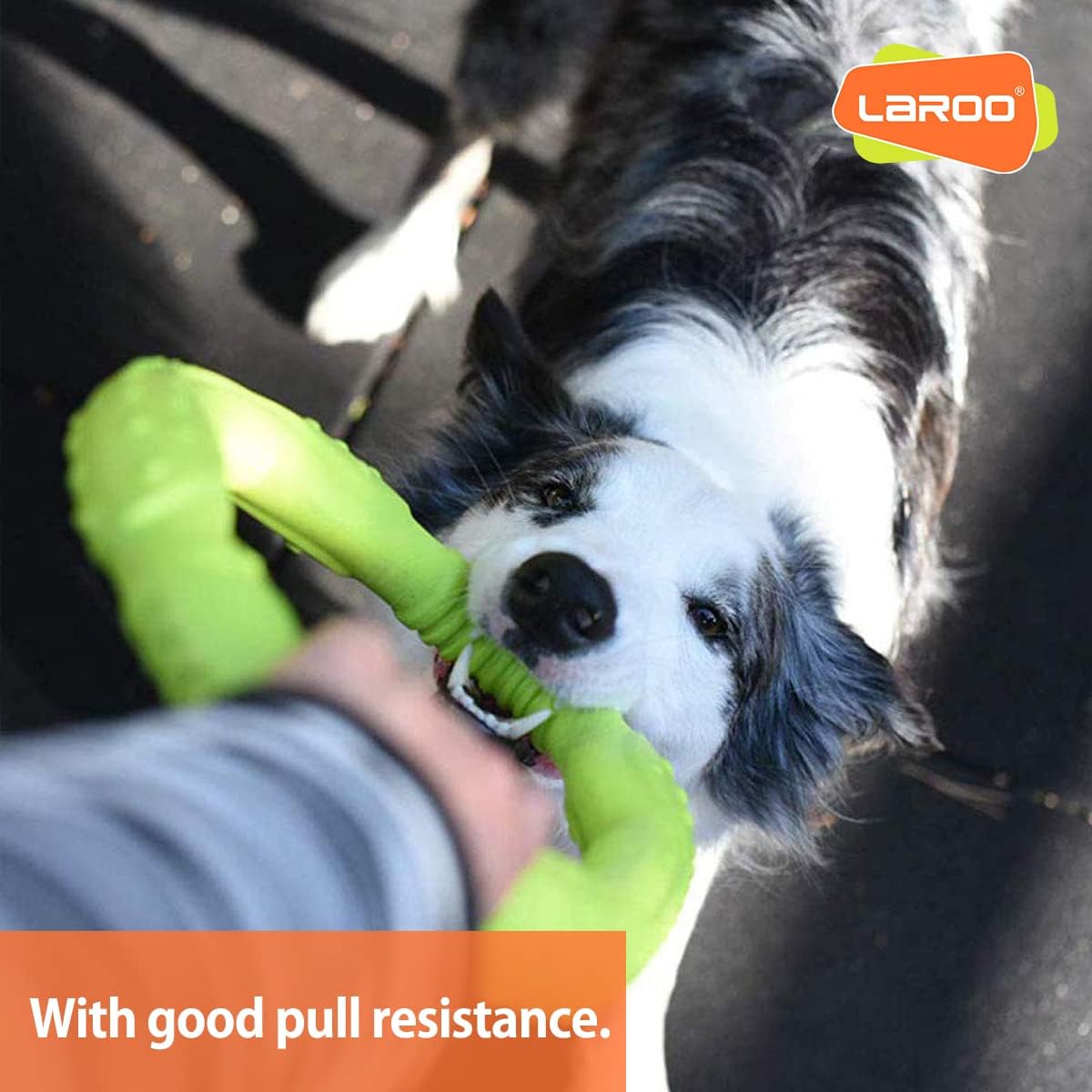 LaRoo Dog Flying Ring Toys, Floating Flying Disc Toys - Green-L - image 4