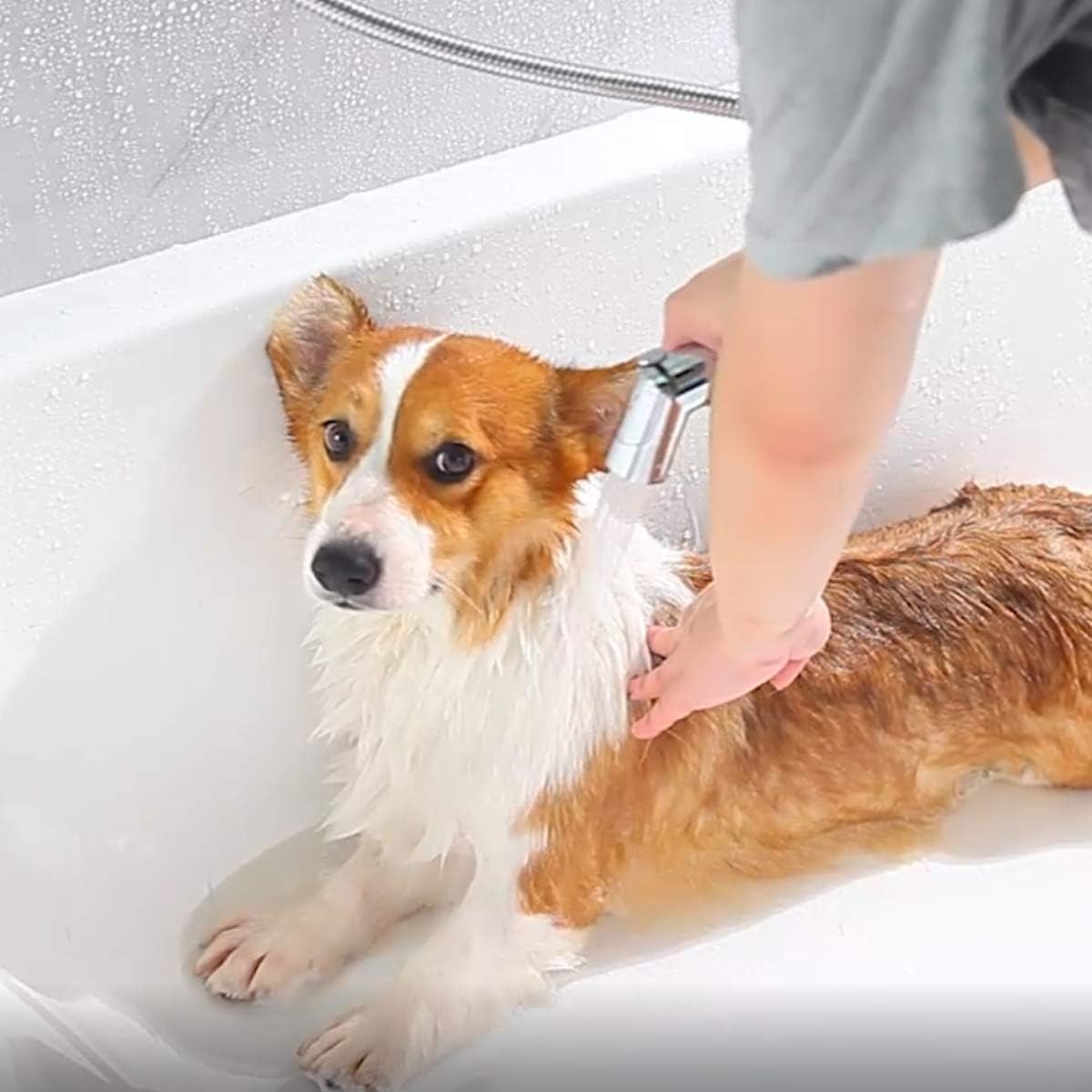 SUMERAIN Pet Shower Sprayer - image 3
