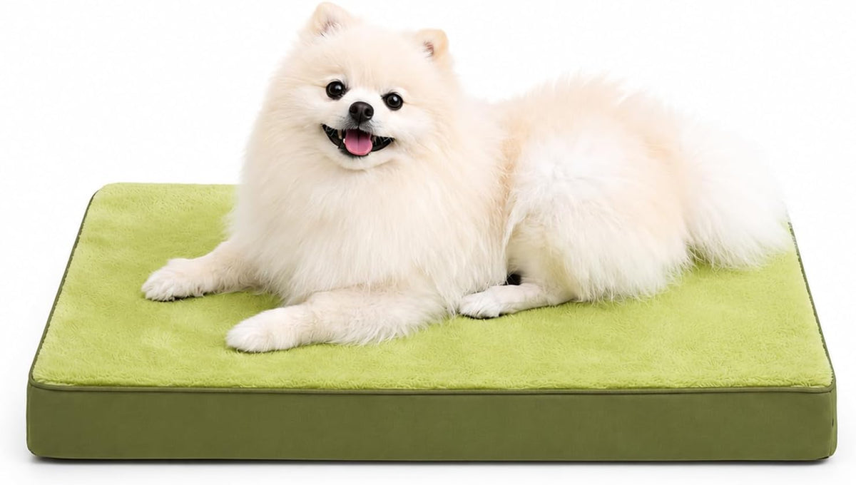 Large Plush Dog Bed for Crate with Washable Cover, 35x22 - 29.0"L x 18.0"W x 3.0"Th / Green