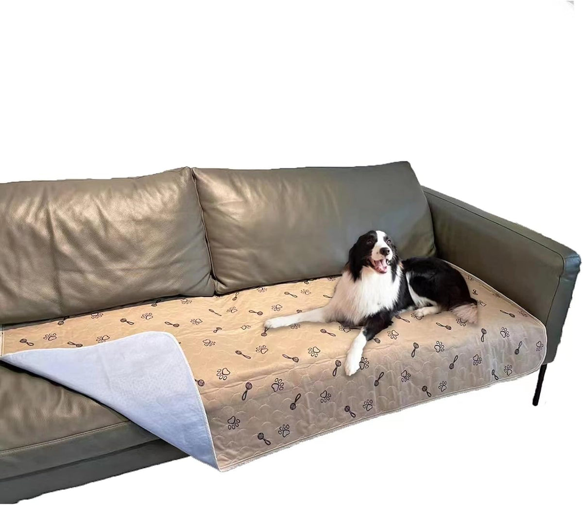 2Pack 36"x36" Pee Pads Washable Waterproof Rugs for Dog Training – Essentials for Dogs - 48x96 Inch (Pack of 1)