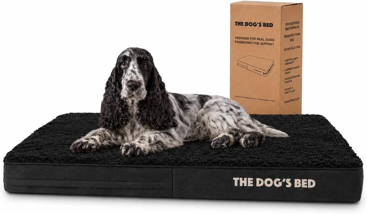 The Dog’s Bed Orthopedic Memory Foam Dog Bed - Black Plush / Medium Beds (4" deep)