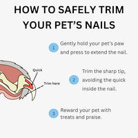 AIXINPET Dog & Cat Nail Clippers and Trimmers - with Free Nail File, Protective Guard to Avoid Over Cutting, Extra Sharp Blade - Suitable for Small to Large Dogs & Cats, Birds and Rabbits (Large)