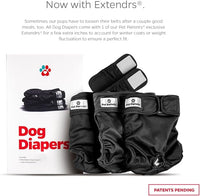 Pet Parents® Washable Dog Diapers (3pack) + Extendrs® of Durable Doggie Diapers, Premium Dog Diapers Female & Male (Small, Black)