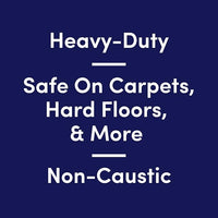 Bioesque Advanced Stain + Odor Remover, Pet-Friendly Natural Enzymatic & Bacterial Formula, Heavy-Duty Stain & Odor Remover, Safe on Carpets, Hard Floors, & More, 1 Gallon (Pack of 4)