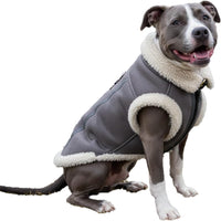 Retro Aviator Dog Jacket – Faux Leather Winter Coat with Plush Sherpa Fleece Lining for Bulldog - Gray / XX-Large