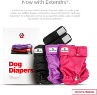 Pet Parents® Washable Dog Diapers (3pack) + Extendrs® of Durable Doggie Diapers, Premium Dog Diapers Female (Medium, Princess)