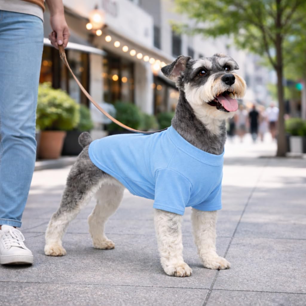 Lovelonglong Pet Clothing Dog Costumes Basic Blank T-Shirt Tee Shirts - XS (-5lbs) / Light-blue - image 4