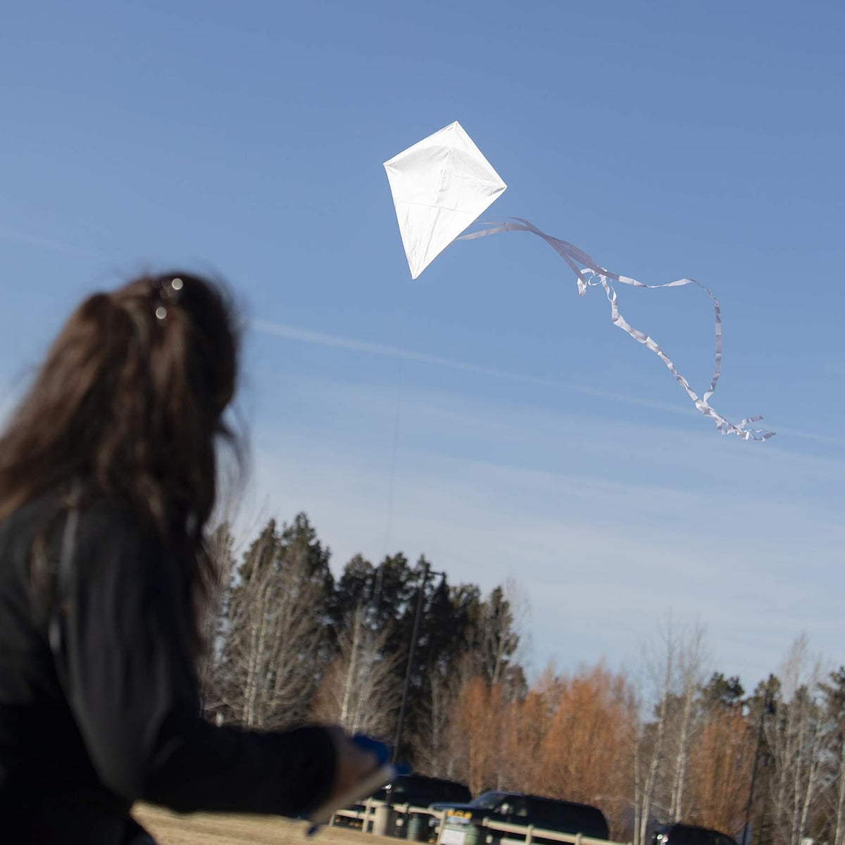 In the Breeze 3325, Coconut 30 Inch Diamond Kite, Solid White - Coconut - image 3