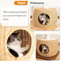 Wooden Cat Tower for Large Cats, 63’‘ Modern Multi-Level Condo with Natural Wood, Indoor Cat Furniture for Medium and Big Pets (White 81007DD)
