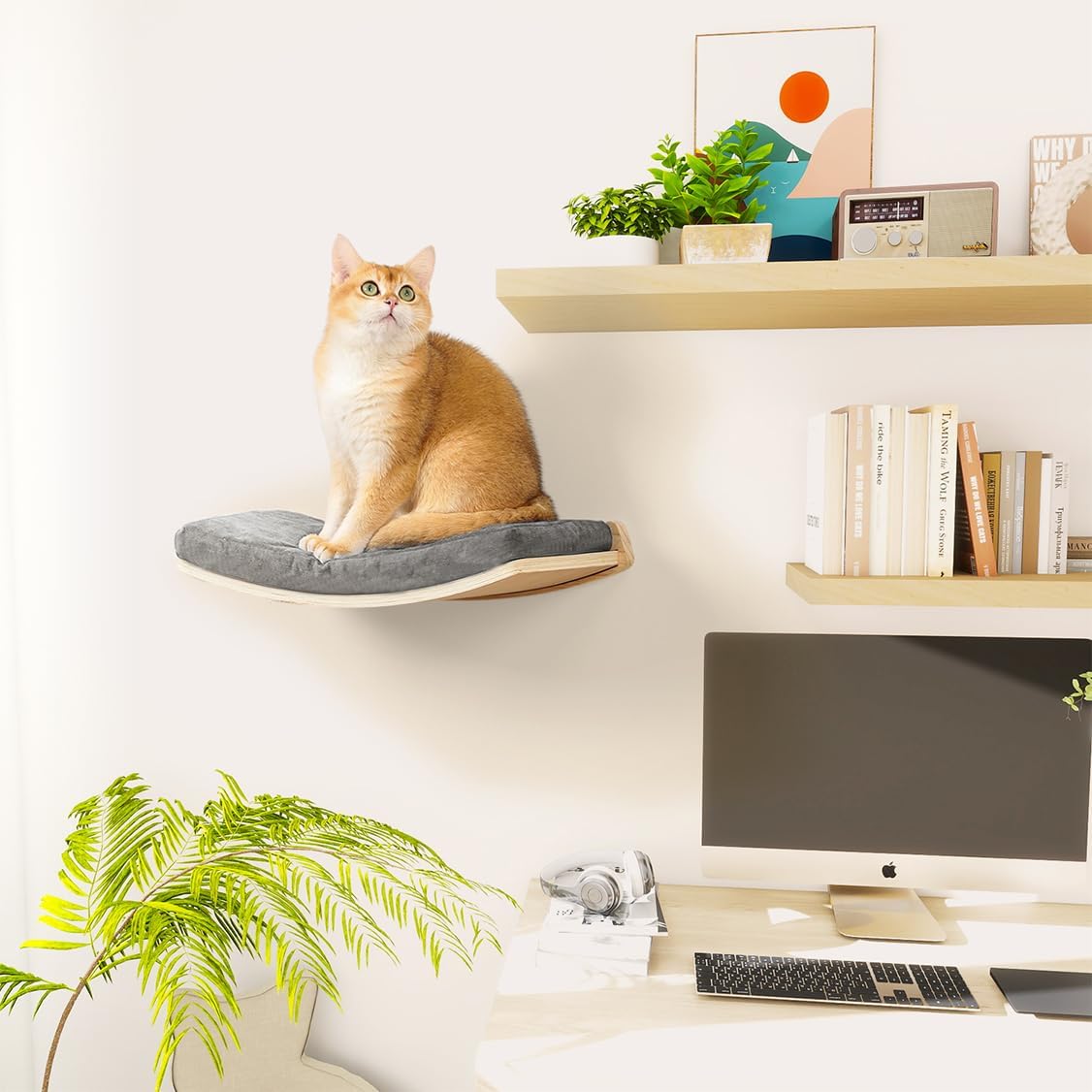 Curved Cat Shelves and Perches - Wood Shelf+Grey Cushion - image 2