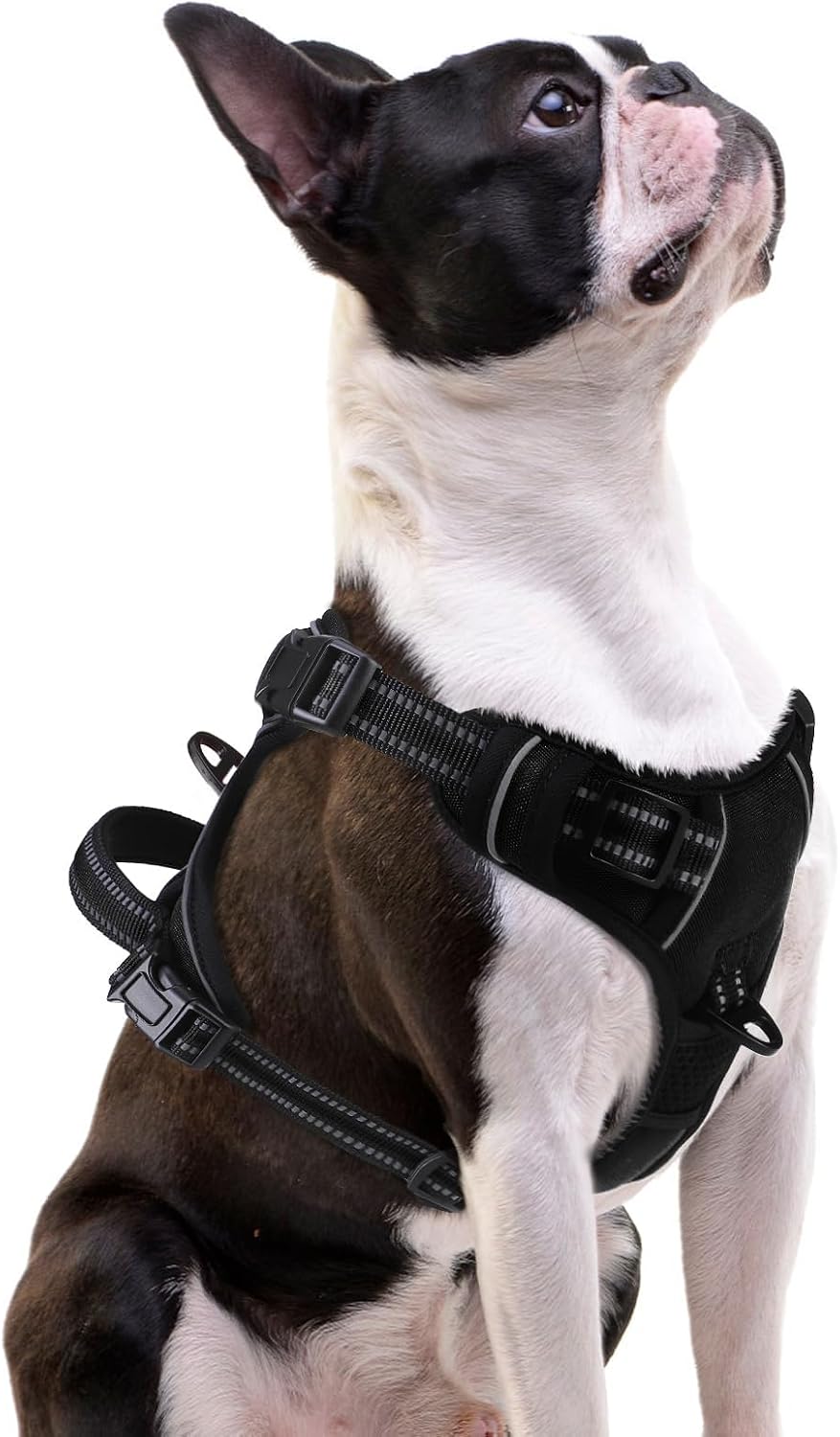 PUPTECK No Pull Halloween Dog Harness for Large - Black / Small / Harness Only