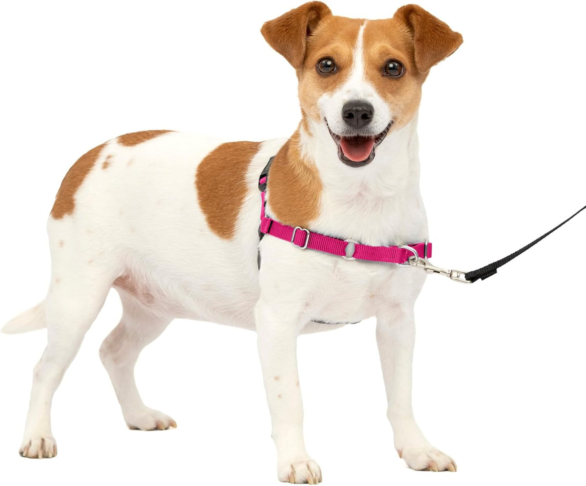 PetSafe Easy Walk Harness, No Pull Dog Harness, Royal Blue - Raspberry Pink/Grey / Small / 1 - image 4