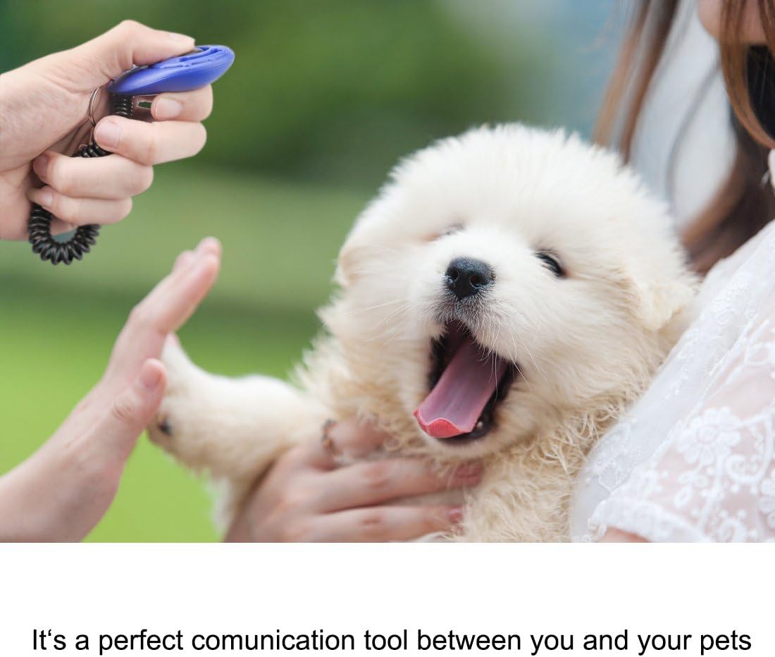 Diyife Dog Clicker for Training - Black & Yellow & Red & Blue - image 4