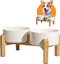 Elevated Ceramic Dog Bowl - White / Medium
