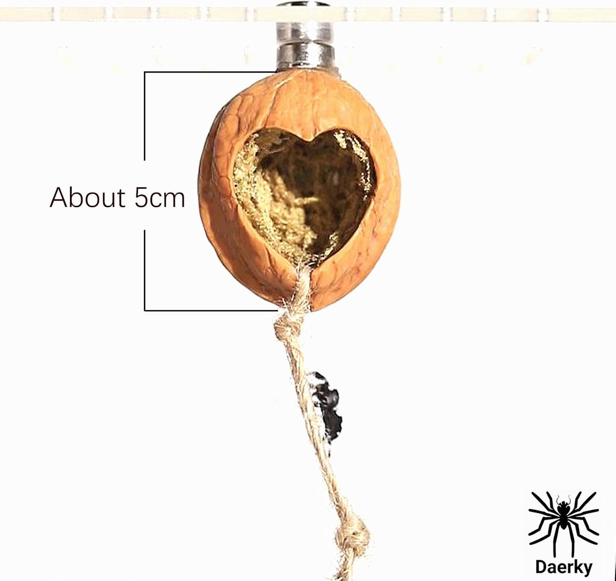 Handmade walnut skin jumping spider hide with oval and heart-shaped openings and magnet - view 2