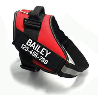 PawPawify Custom No Pull Dog Harness with Name and Phone Number, Heavy Duty Personalized Pet Vest to Prevent Tugging, Pulling, or Choking, Training and Walking (Red, L (40-60 LBS))