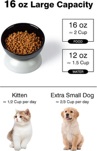 Cat Water Bowl, 15° Tilted and Raised Pet Food Dish - 1 Pack / Black & Gray - image 2