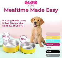 Dog Bowl, Non-Slip Stainless Steel Pet Bowl with Vacuum Insulated Design, Keeps Water Cool, Easy to Clean, Modern Style, 64 oz, Yellow