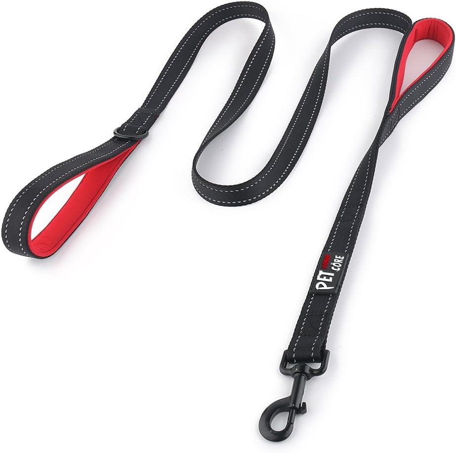 Plutus Pet Double Handle Dog Leash, for Medium Large Dogs - 6 FT / Black