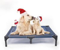 Elevated Dog Bed for Large Dogs 120lb - L (36"L x 30"W x 7"H) / Blue