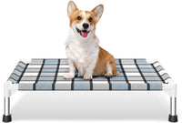 Caghash Elevated Outdoor Raised Dog Bed - Standard - Small Plus