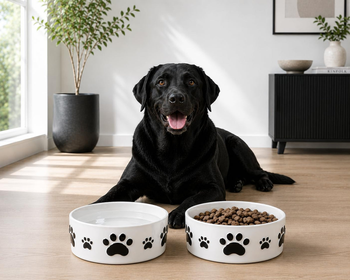Ceramic Dog Bowls Set, 6.5''×2.5'', with Anti-Slip Rings - 7.5 in - image 3