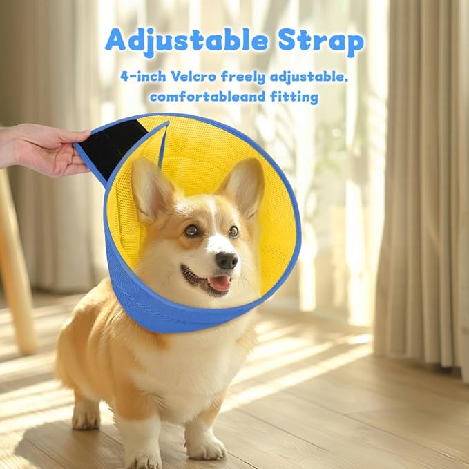 Inspack Soft Dog Cone Collar Alternative, E Cones for Medium Small Dogs/Cat to Stop Licking After Surgery, Neuter Recovery Ecollars of Shame Alternatives, Comfortable Paws Comfy Elizabethan Collars