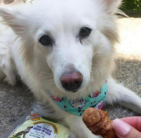 Freeze Dried Chicken Heart Dog Treats Made In USA. All Natural Freeze-Dried Raw Snacks for Dogs and Cats. One Ingredient. High Protein. Heart Health. Irresistible Training Treat