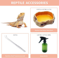 Mini Reptile Terrarium Set - 16" x 8"x 10" - image 4