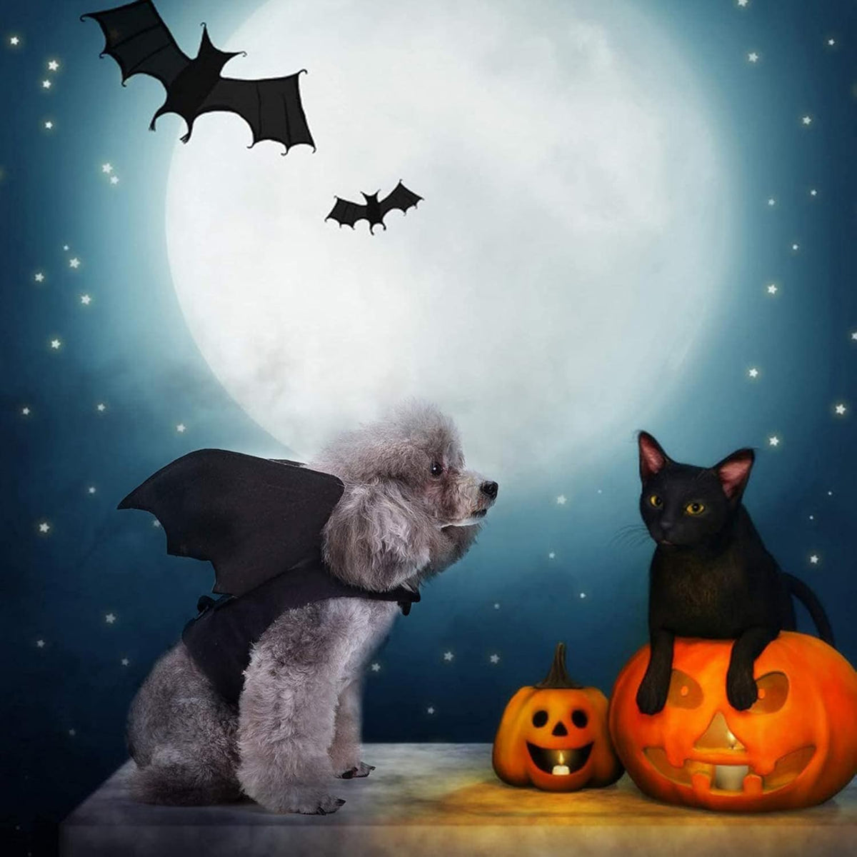 Dog Halloween Costume, Halloween Bat Wings for Dogs Cats - Large - image 4