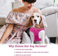 Comfort Fit Dog Harness No Pull No Escape Harness Adjustable Buckles Soft Padded Reflective Choke Step in Dog Vest with Easy Control Handle for Small Medium Large Dogs & Puppies