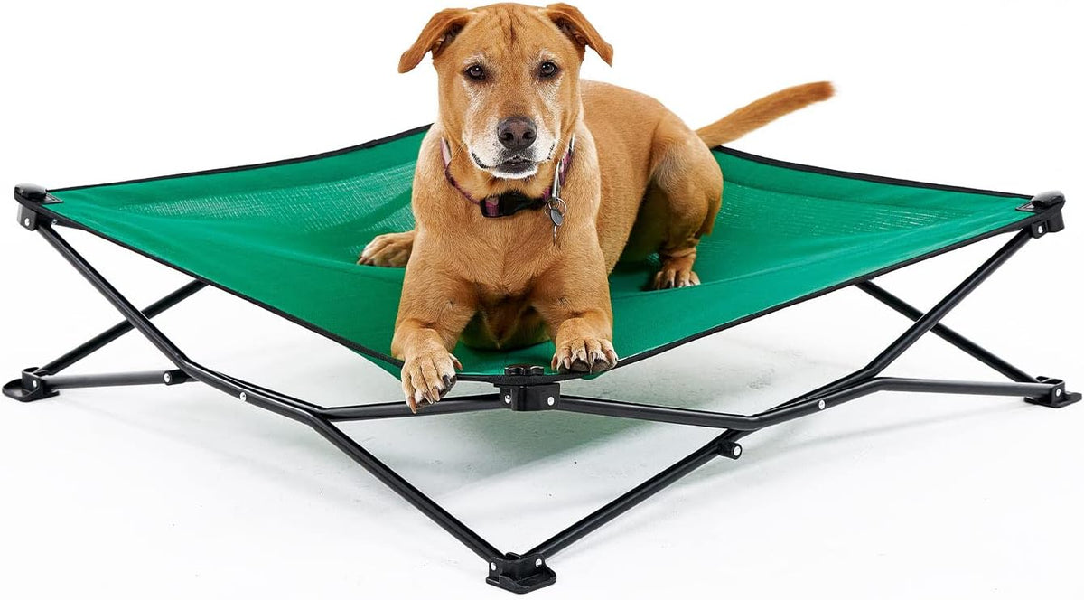 Coolaroo On-The-Go Elevated Dog Bed - Large / Emerald Green