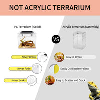 Reptile Growth Mini Reptile Terrarium - Transparent / 8" x 8"x 8" - image 3
