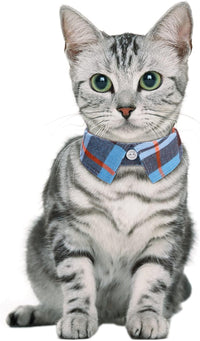 Faleela Breakaway Cat Collar with Bells - 2023new-Blue - image 4
