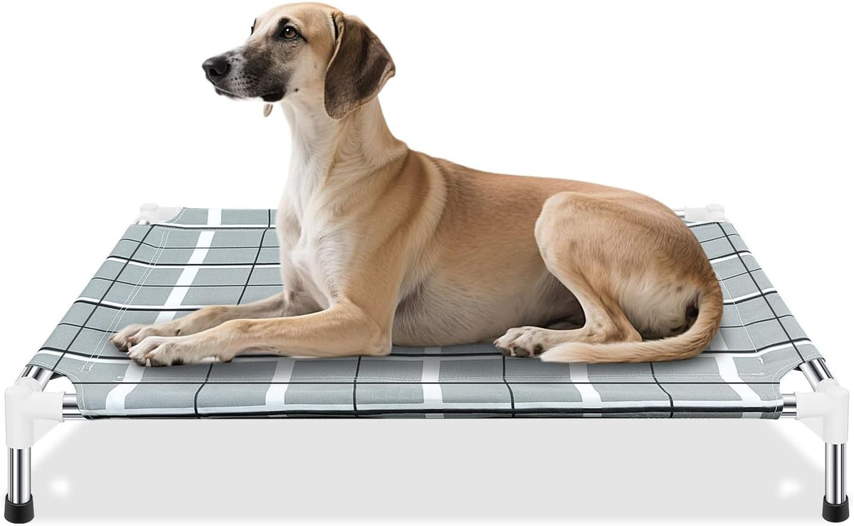 Elevated Dog Bed, Raised Cooling Lifted Dog Cot for Indoor & Outdoor – Essentials for Dogs - Grey / M:34'' x 26'' x 6''