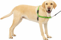 PetSafe Easy Walk Harness, No Pull Dog Harness, Royal Blue - Apple Green / Large / 1 - image 2