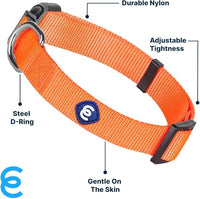 Blueberry Pet Essentials Small Dog Collar | Girl Dog Collars Fall | Female Dog Collar Small | Florence Orange Dog Collars for Small Dogs | Quick Release Dog Collar | Florence Orange Nylon Dog Collar