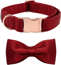 Lionet Paws Bowtie Dog Collar - Medium (Pack of 1) / Red