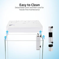 5 Gallon Glass Small Fish Tank,Betta Fish Tank with Filter and Light,White Aquarium Starter Kit.
