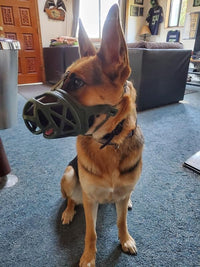 Mayerzon Dog Muzzle, Breathable Basket Muzzles for Small, Medium, Large and X-Large Aggressive Dogs Beagle German Shepherd Doberman, Cage Mouth Guard Stop Biting Chewing for Grooming Training