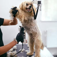 3PCS 7FC Blades for Dog Grooming Blades Compatible with Andis,Oster A5,Wahl km10 Dog Clippers,Size-7FC, 1/8-Inch (3.2mm) Cut Length (3pcs #7FC (3.2mm))