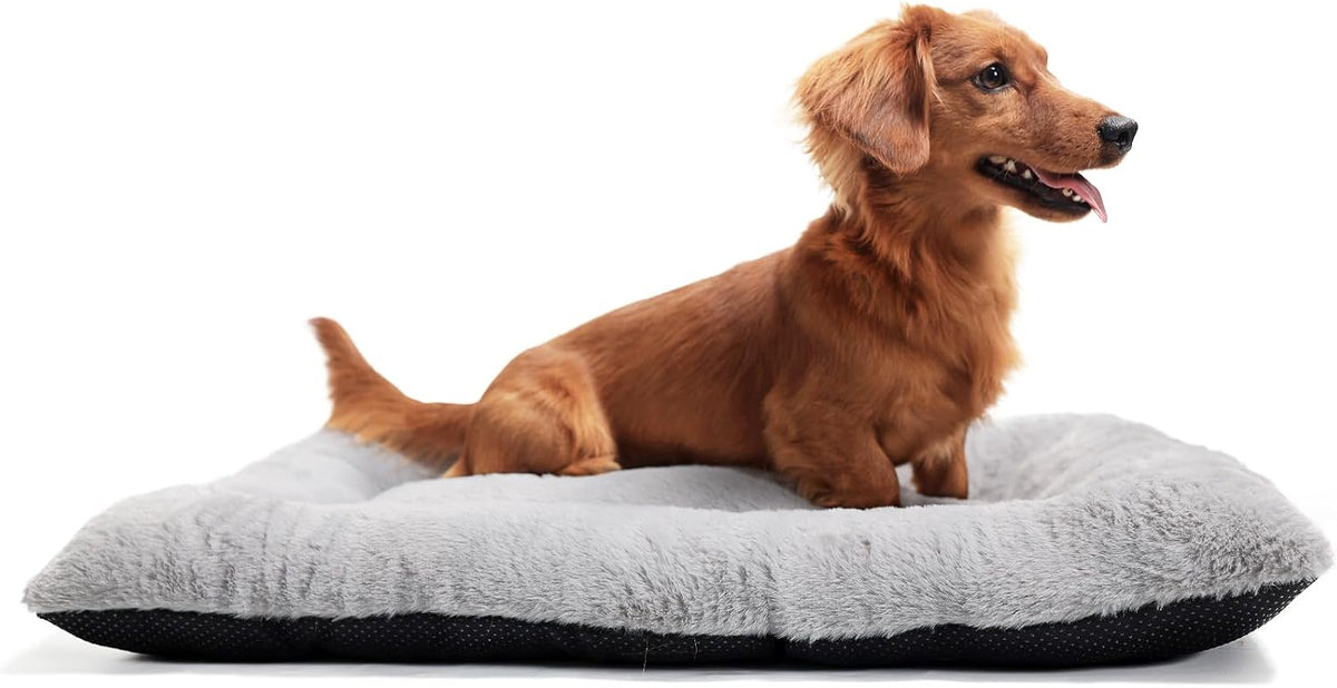 30 Inch Dog Crate Pad Washable Ultra Soft 30 x 19 Dog Bed for Medium - Light Grey / 30"L x 19"W x 2"Th