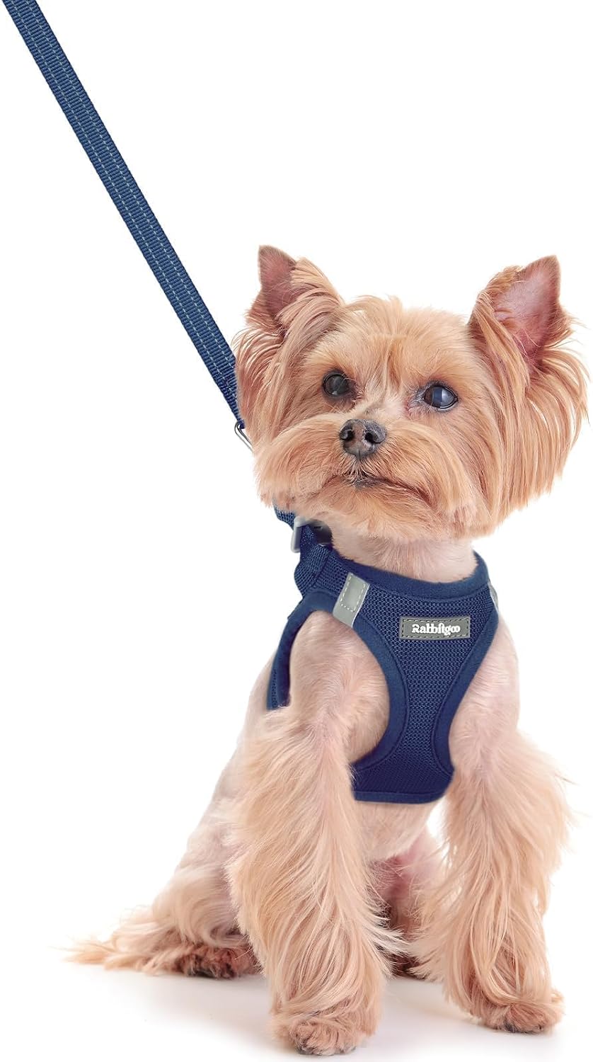 rabbitgoo Dog Harness Small Sized and Leash Set - Navy Blue / Xxs (chest: 12.4 - 14.2")