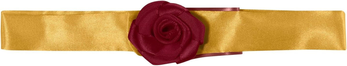 Rubies at Party City Disney Princesses: Snow White Pet Costume - Medium (Pack of 1) / Belle - image 4